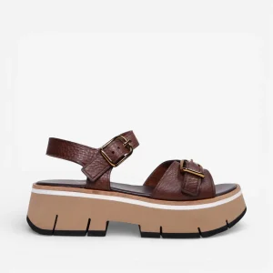 Sandalia Homers Volanato Cortecia Chocolate